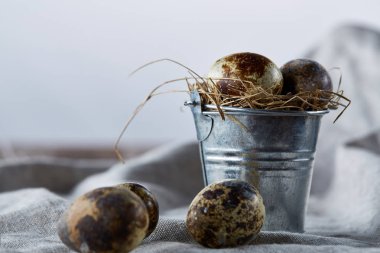 Bıldırcın yumurtası dekoratif bir kova ve bazı yumurta bir saf masa örtüsü, üstten görünüm, yakın çekim