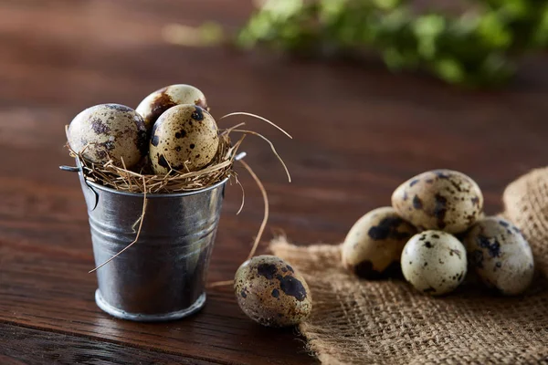 Spring composition of quail eggs in bucket on a linen napkin and boxwood branch, selective focus — Stock Photo, Image