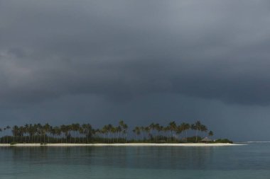 Fırtınalı gökyüzü, turkuaz su ve palmiye ağaçlı beyaz kumlu bir sahil şeridi.