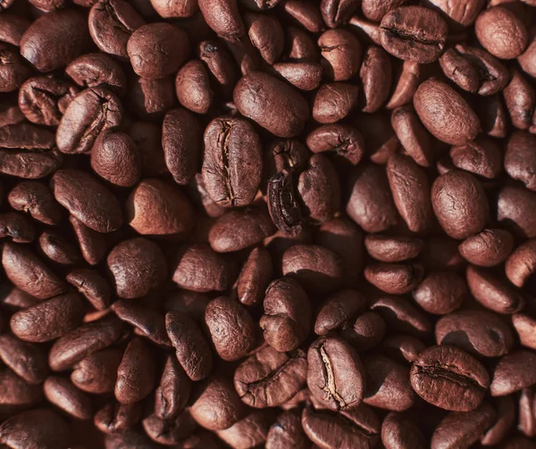 Kahverengi, kavrulmuş kahve çekirdekleri yakın plan.