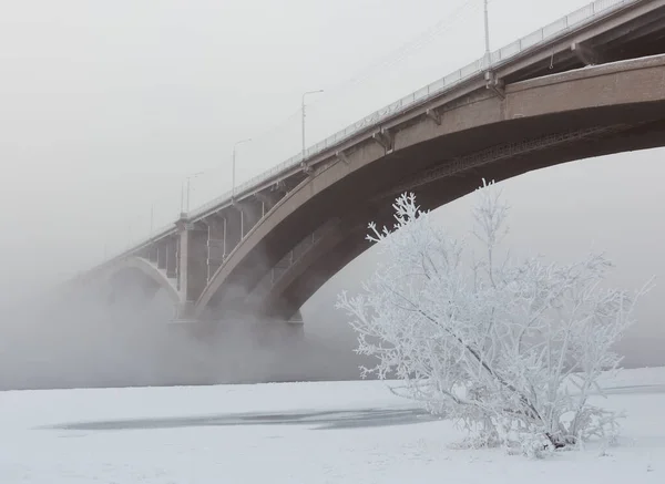 Nehrin üzerindeki köprüyü sis kapladı..