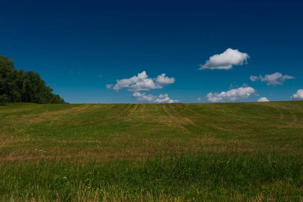 Küçük tepelerdeki yeşil çayır ve bulutlu mavi gökyüzü