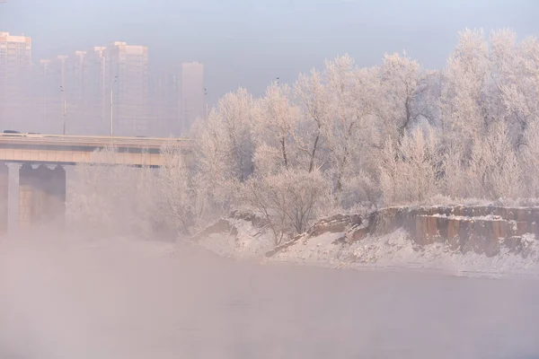 Nehir ve ağaçlarla kaplı kış manzarası.