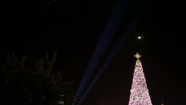 Světlomety svítí na strom vánoční stromky v noci — Stock video