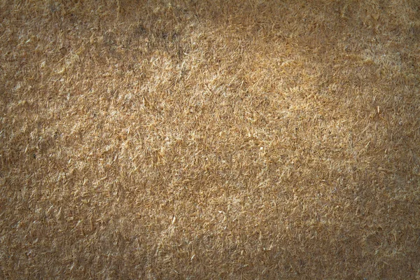 Old wood texture or background pressed sawdust — Stock Photo, Image