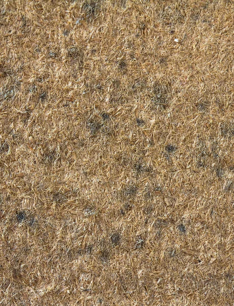 Old wood texture or background pressed sawdust — Stock Photo, Image