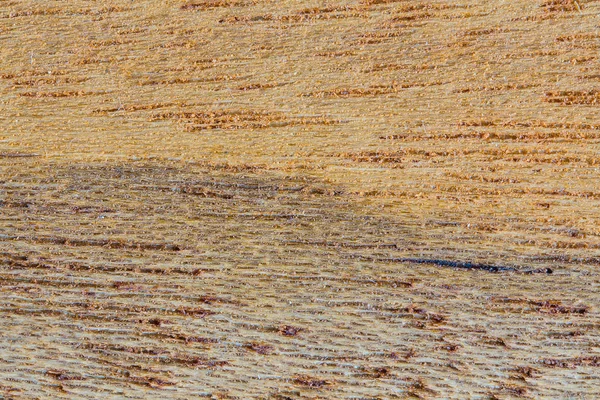 Textura y fondo de madera —  Fotos de Stock