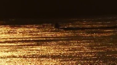 Maekhong Nehri üzerinde gündoğumu balıkçı teknesi,