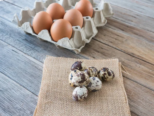 Vaktelägg på säck, oskärpa ägg bakgrund, — Stockfoto