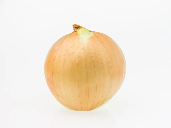 Beyaz arka planda olgun soğan — Stok fotoğraf