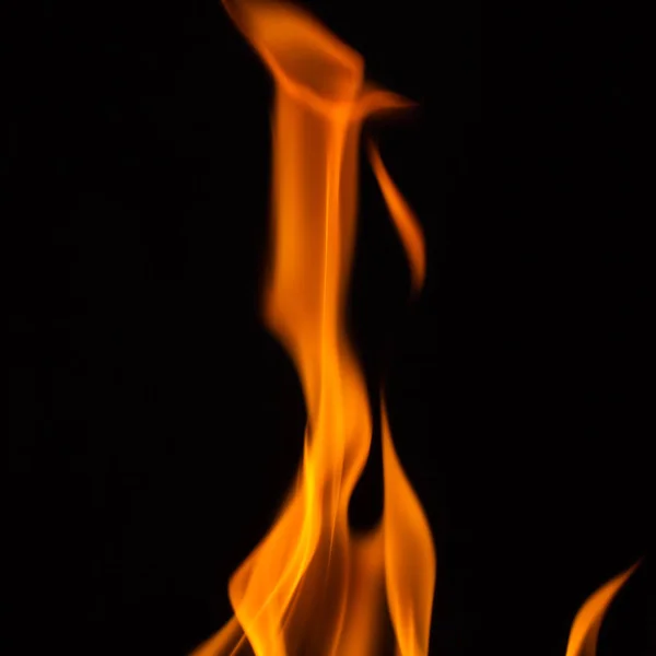 Fuego ardiendo en fondo negro — Foto de Stock