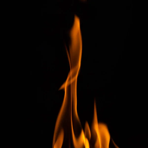 Eld lågor, isolerad på svart bakgrund — Stockfoto