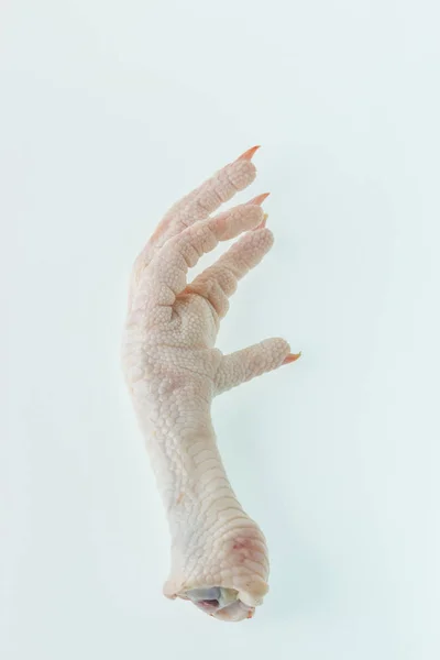 Chicken feet on white background. — Stock Photo, Image