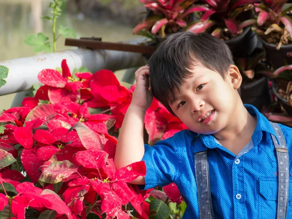 Retrato bonito um menino fica ao lado de uma folhas vermelhas . — Fotografia de Stock