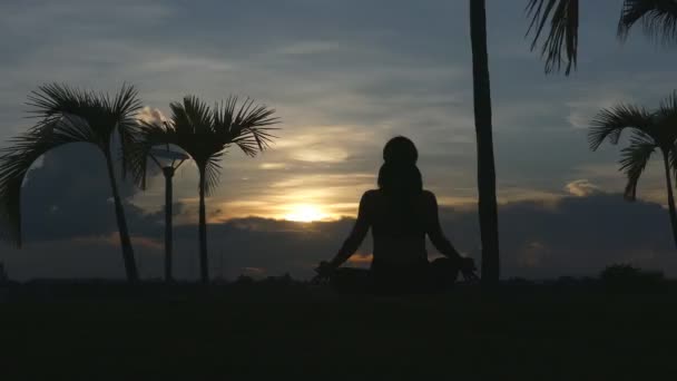 Woman Yoga Outdoors Keep Calm Meditates While Practicing Yoga Explore — ストック動画