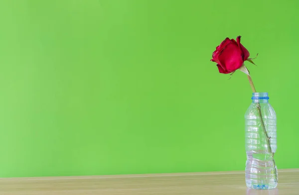 Red rose in bottle plastic on green background, — 스톡 사진