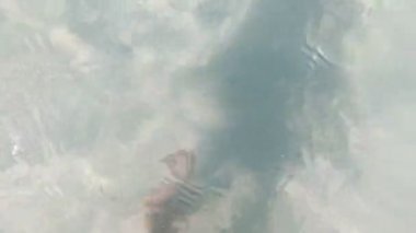 Su yüzeyi dokusu, güneş ışığının kırılması üst görünüm dokusu deniz kenarı beyaz kum,