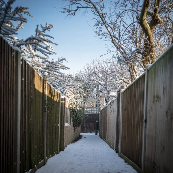 Allee mit Holzzäunen und schneebedeckten Bäumen Stockbild