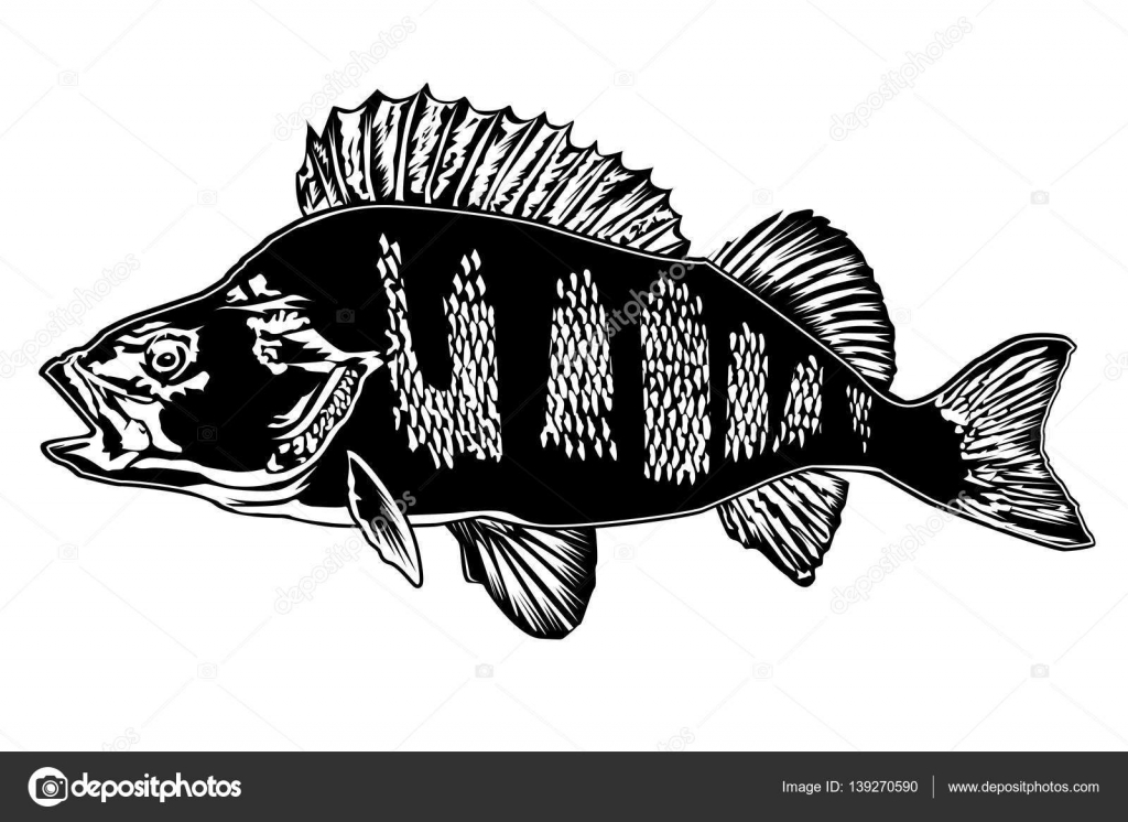 Download PERCH NEW FISHING — Stock Vector © LIORIKI #139270590