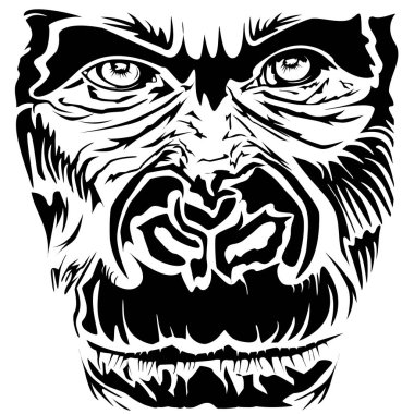 goril üzerine beyaz izole