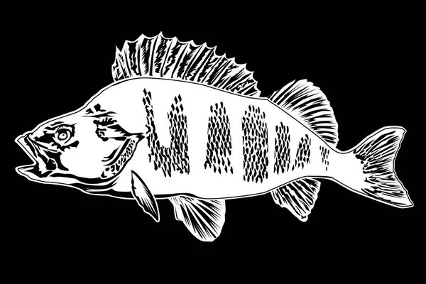 Abborre nya fiske svart — Stock vektor