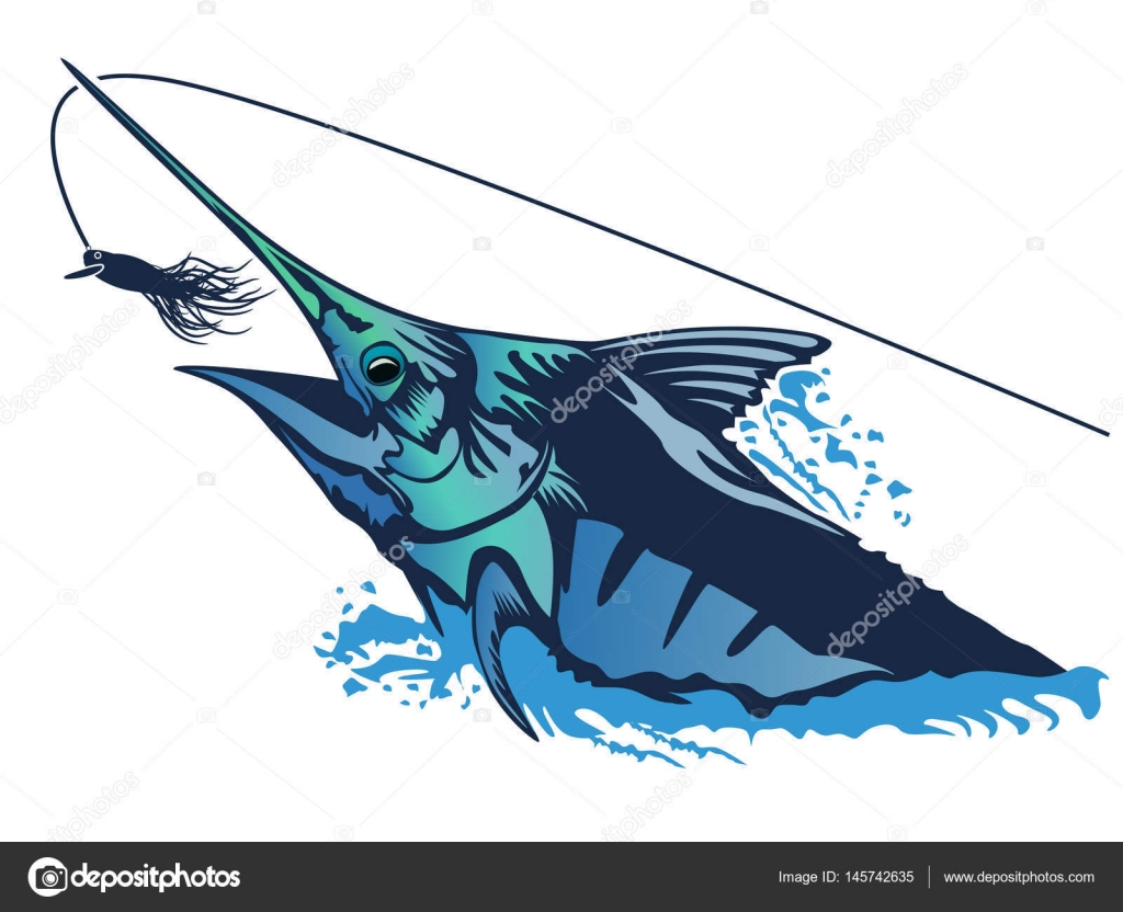 Pacific blue marlin Stock Vector by ©LIORIKI 145742635