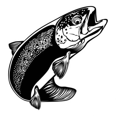 Alabalık izole üzerinde beyaz ayrıntılı