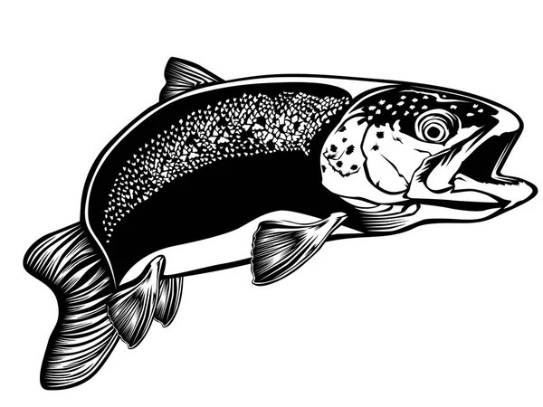 Trout detailed isolated on white 3 — Stock Vector