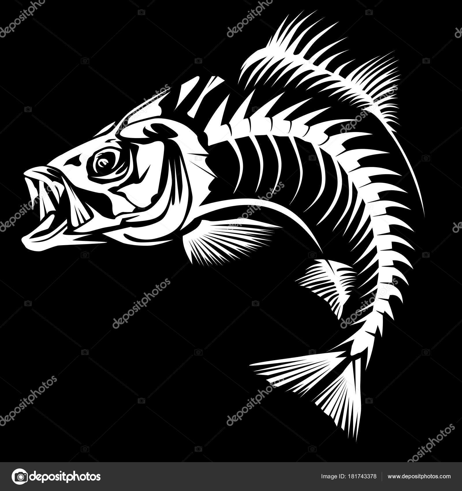 Download Bass skeleton isolated on black — Stock Vector © LIORIKI ...