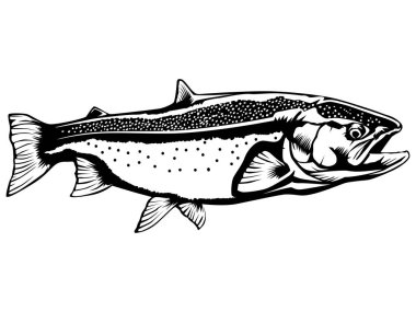 beyaz zemin üzerinde izole Somon Balık