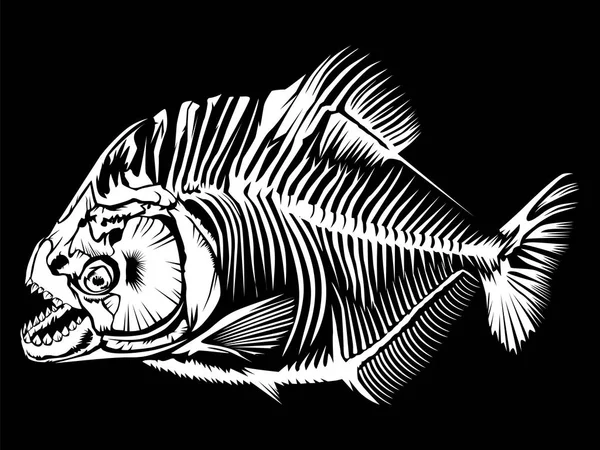 Piranha απομονώνονται σε μαύρο — Διανυσματικό Αρχείο