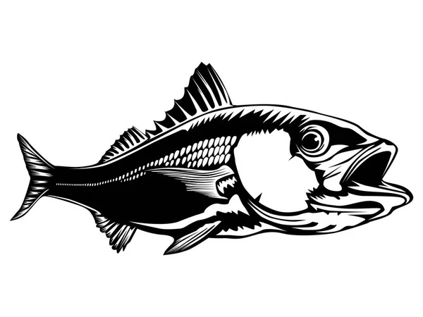 Pargo rojo aislado — Vector de stock