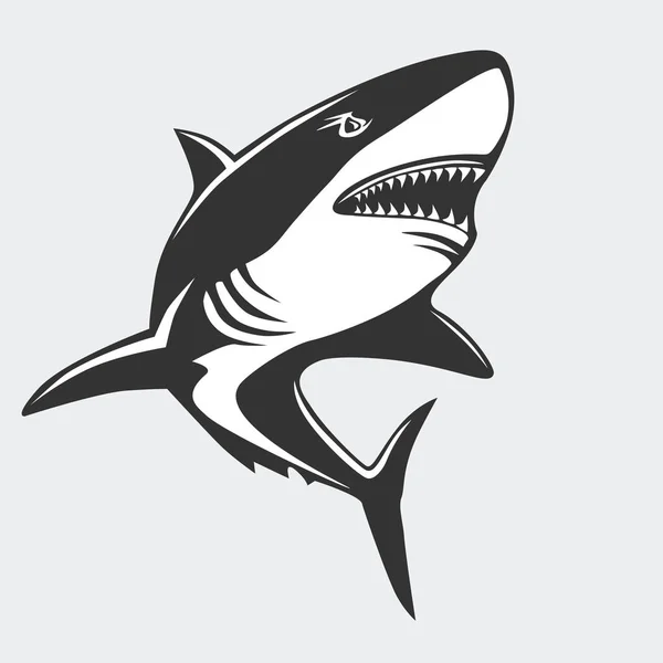 Download Shark vector — Stock Vector © premiumdesign #13348924
