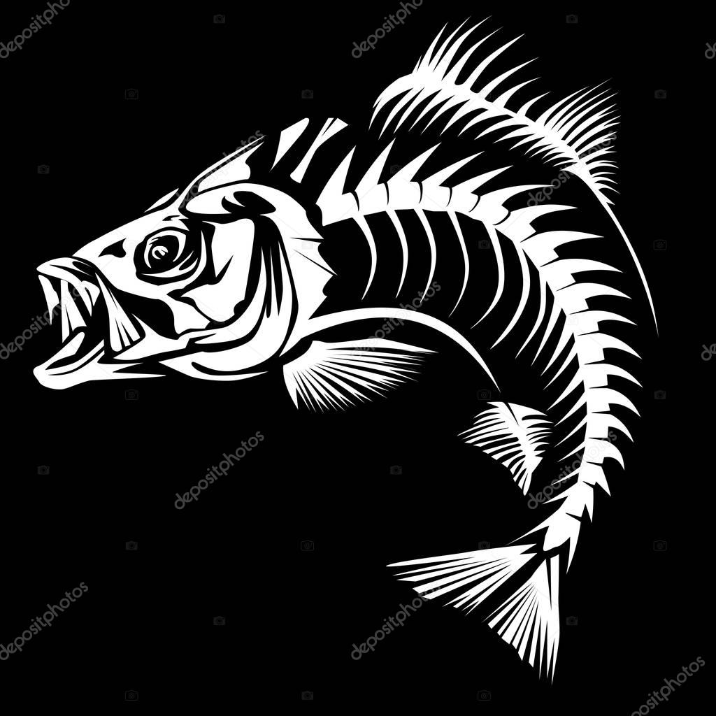 Bass skeleth isolated on white. Perch fish white  logo.