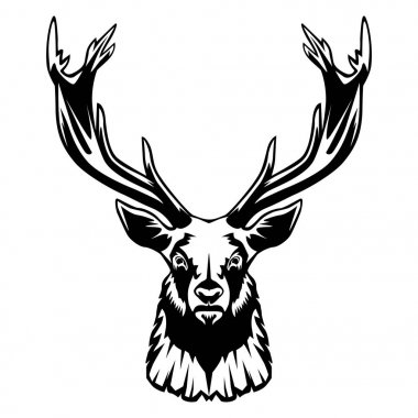 Geyik kafası üzerinde beyaz izole