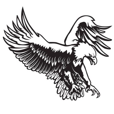Siyah 2 izole kartal