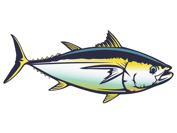 Tuna fish detailed colored — Stock Vector