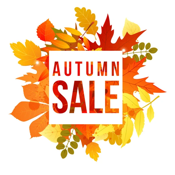 Autumn banner for your design — Stock Vector