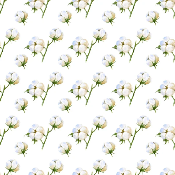 Seamless pattern with cotton plant on white background — Stock Photo, Image