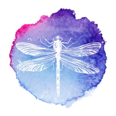 hand drawn dragonfly on watercolor background clipart
