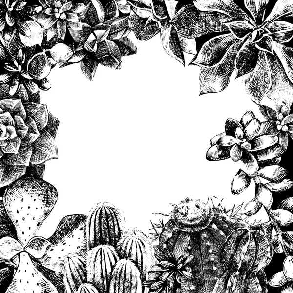 Ручна мальована рамка з кактусів і сукулентів — стоковий вектор