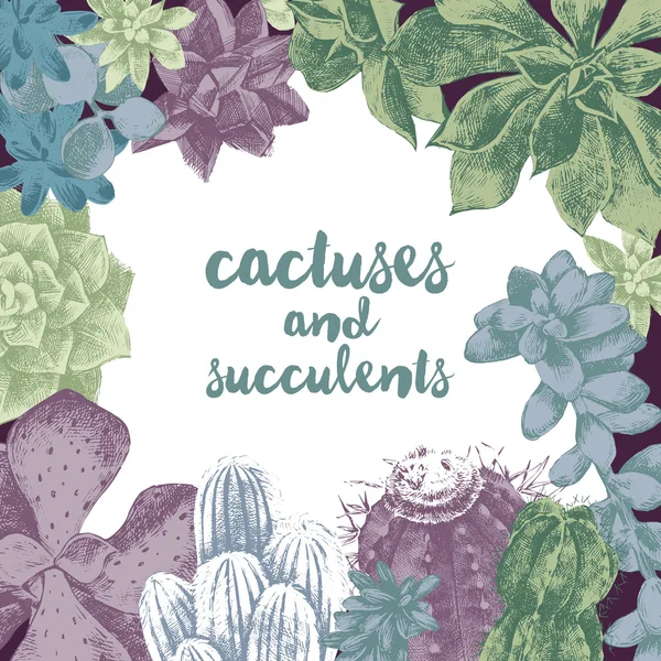 Cadre dessiné à la main avec des cactus et des succulents — Image vectorielle