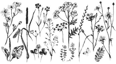 Bitkiler ve çiçekler çizilmiş kümesiyle el