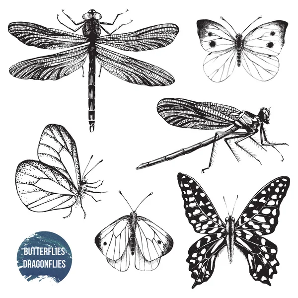 Hand drawn dragonflies and butterflies — Stock Vector