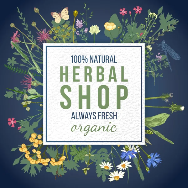 Emblema de la tienda de hierbas con hierbas y flores — Vector de stock