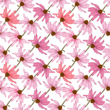 Elle çizilmiş seamless modeli Ekinezya çiçekli