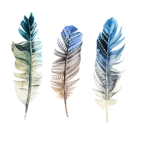 Hand drawn watercolor feathers with ornaments — Stock Photo, Image