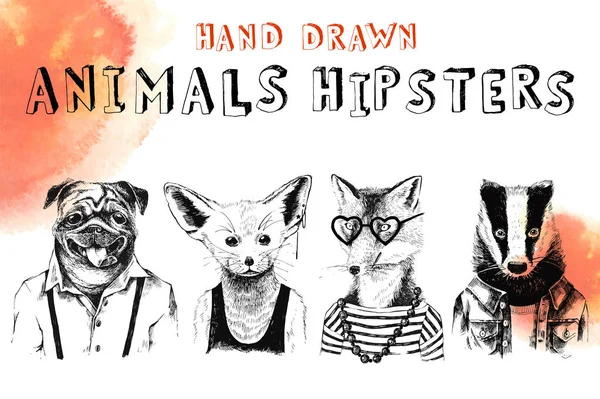Hand drawn animals hipsters set — Stock Vector