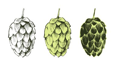 Hop bitki el çekilmiş