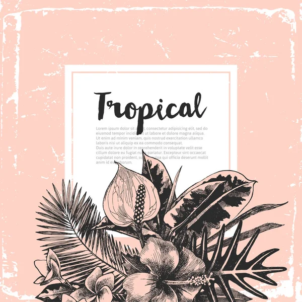 Fondo con plantas tropicales — Archivo Imágenes Vectoriales